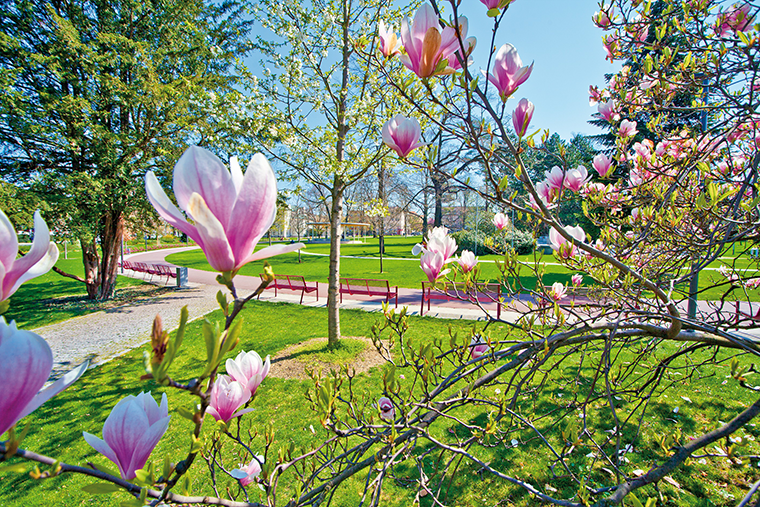 Zlín – Park Komenského