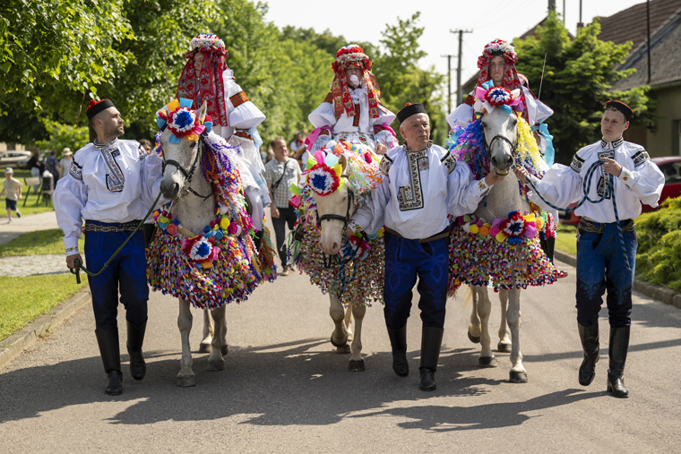 Kouzlo Jízdy králů: Oživlý folklor, který vás okouzlí